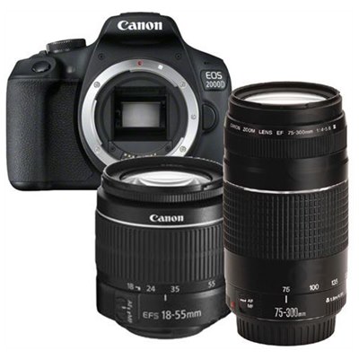 מצלמה EOS 2000D – תמונה 7