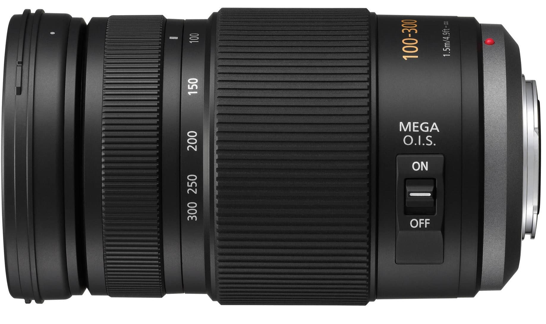 Panasonic Lumix G Vario 100-300mm f/4-5.6 MEGA O.I.S